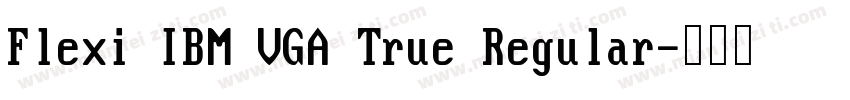Flexi IBM VGA True Regular字体转换